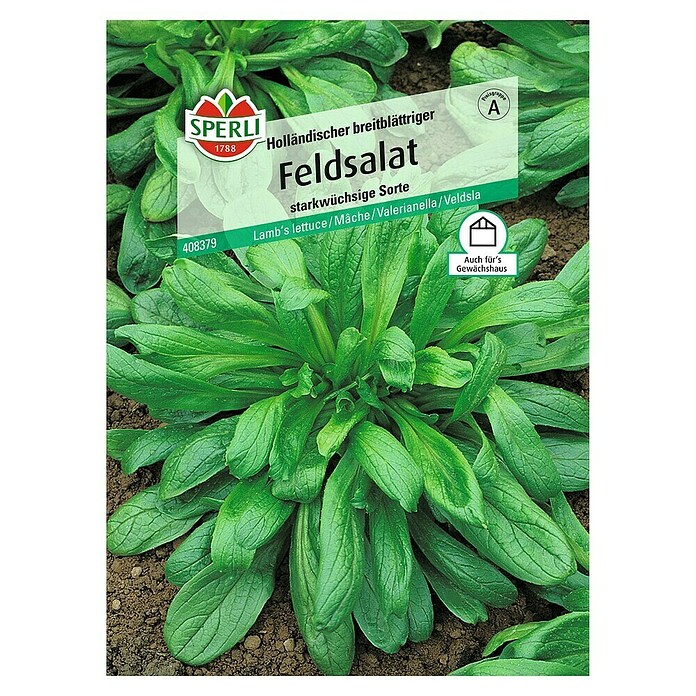 FELDSALAT           HOLL. BREITBLAETTR.