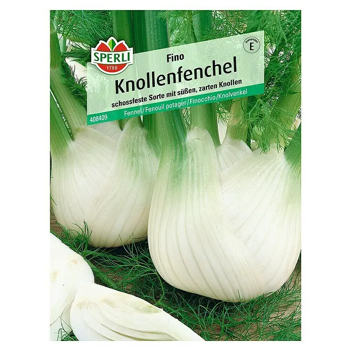 Sperli Gemüsesamen Knollenfenchel - Foeniculum vulgare var. azoricum, Erntezeit: Juli - Das Bild zeigt 'Fino' Knollenfenchel Samen von Sperli, ideal für den Anbau von schossfesten, süßen und zarten Knollen im eigenen Garten.