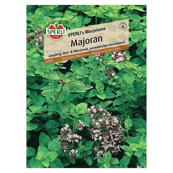 Sperli Kräutersamen Majoran - Origanum onites, Saatzeit: Mai, Erntezeit: August - Bild von Sperli's Majoran-Samenpackung mit Nahaufnahme der Majoranpflanze mit kleinen weißen Blüten und grünen Blättern.