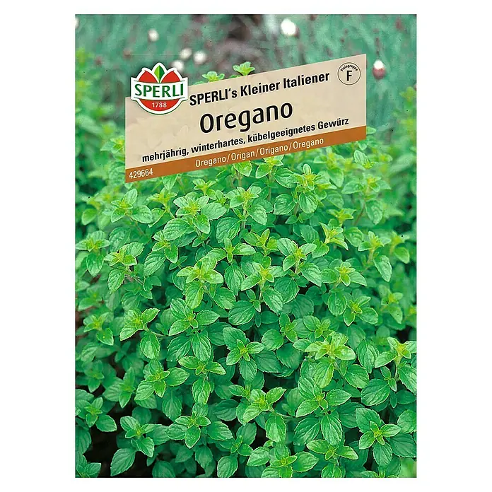 Sperli Kräutersamen Oregano Kleiner Italiener - Origanum vulgare, Saatzeit: Juni, Erntezeit: Juni - Bild von Sperli's Kleiner Italiener Oregano-Samenpackung, die eine Pflanze mit grünen Blättern zeigt.