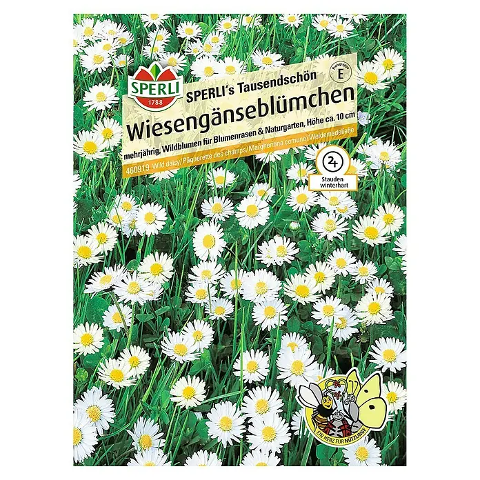 Sperli Blumensamen Wiesengänseblümchen - Bellis perennis, Blütezeit: März - SPERLI's Tausendschön Wiesengänseblümchen: Mehrjährige Wildblumen für Blumenrasen und Naturgärten, Höhe ca. 10 cm.