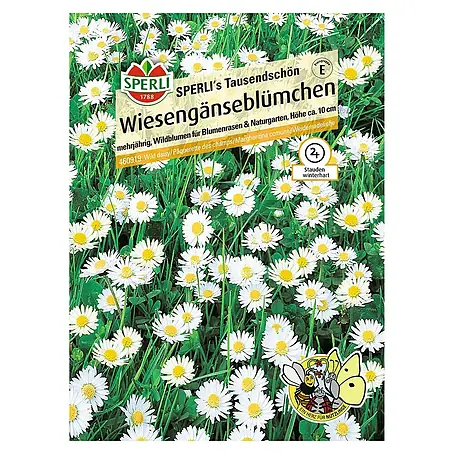 Sperli  Blumensamen Wiesengänseblümchen