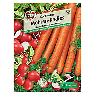 Sperli Gemüsesamen Möhren-Radies (Möhren-Radies-Kombination, Daucus carota, Erntezeit: Juni)