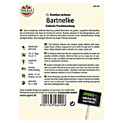 BARTNELKE           PRACHTMISCHUNG