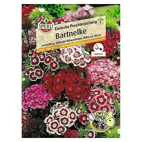 Sperli  Blumensamen Bartnelke Prachtmischung