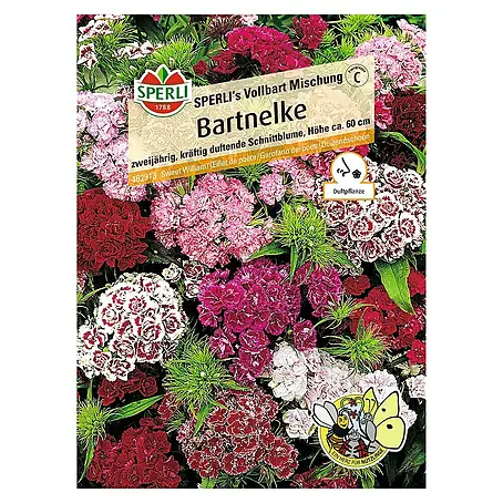 Sperli  Blumensamen Bartnelke Vollbart-Mischung