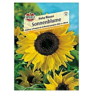 Sperli Blumensamen Sonnenblume (Hohe Riesen, Helianthus annuus, Blütezeit: August)