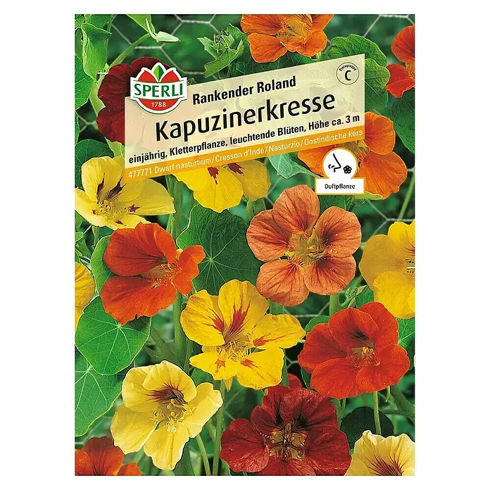 Sperli Kräutersamen Kapuzinerkresse - Roland, Tropaeolum minus, Saatzeit: April - Samenpackung Kapuzinerkresse 'Rankender Roland' von Sperli. Einjährige Kletterpflanze mit leuchtenden Blüten, Höhe ca. 3 m.