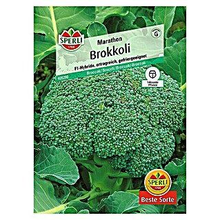 Sperli Gemüsesamen Brokkoli (Brassica oleracea, Erntezeit: Juni)