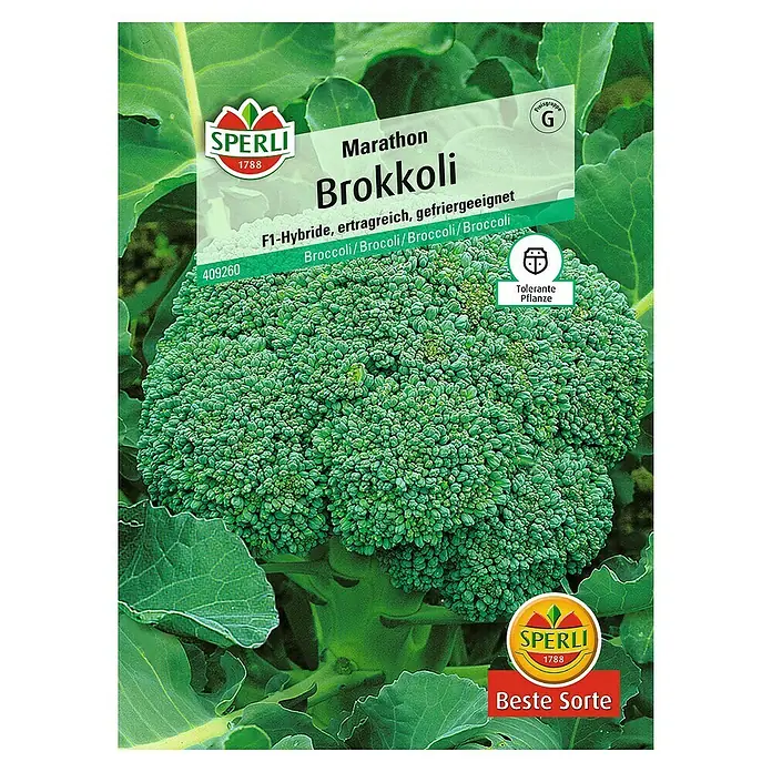 Sperli Gemüsesamen Brokkoli - Brassica oleracea, Erntezeit: Juni - Samenpackung 'Marathon Brokkoli' von Sperli, F1-Hybride, ertragreich und gefriergeeignet, für den Anbau von frischem, grünem Brokkoli.