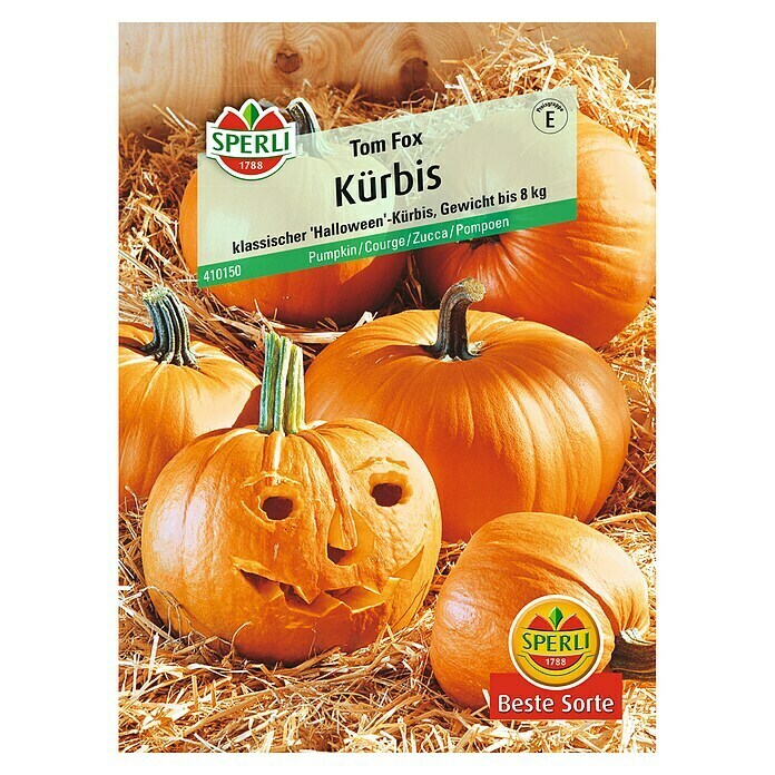 Sperli Gemüsesamen KürbisTom Fox, Cucurbita pepo, Erntezeit: September - Oktober Front View