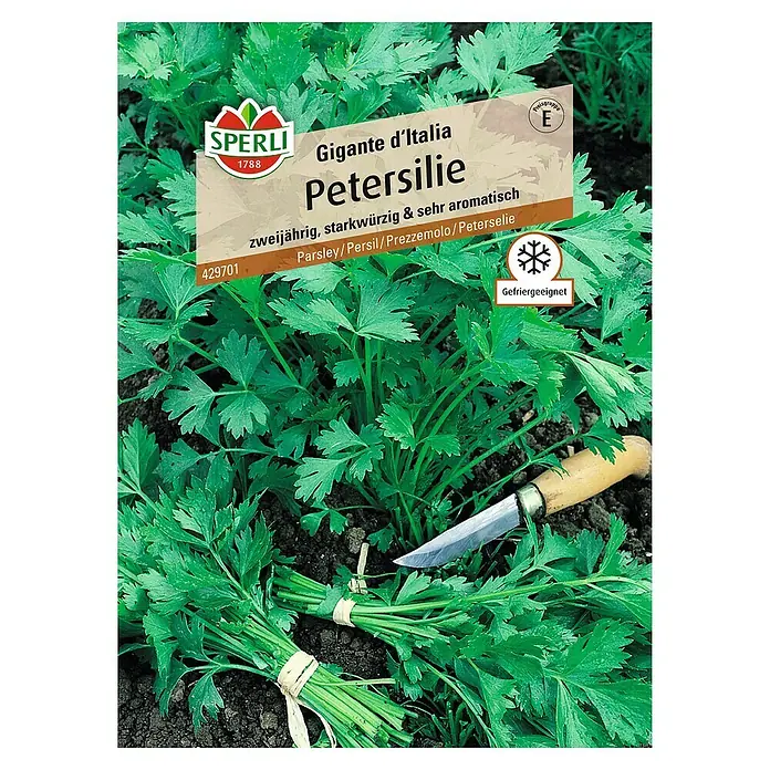 Sperli Kräutersamen Petersilie - Gigante d'Italia, Petroselinum crispum, Saatzeit: März, Erntezeit: Mai - Bild von "Gigante d'Italia Petersilie"-Samen von Sperli, ideal zum Würzen und Aromatisieren von Speisen. Zweijährig und gefriergeeignet.