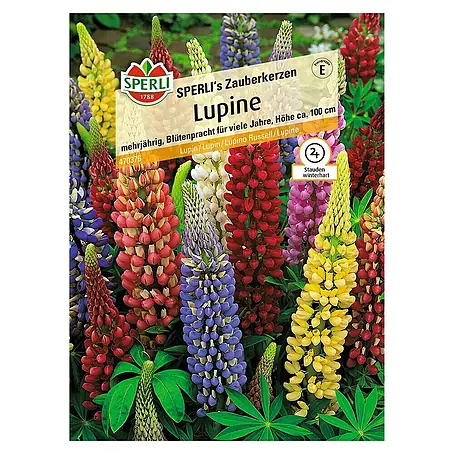 Sperli  Blumensamen Lupine