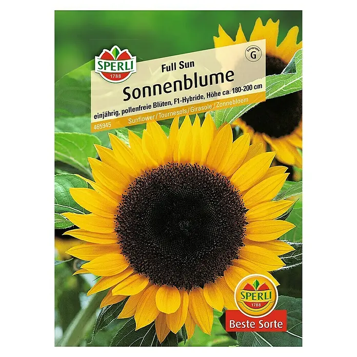 Sperli Blumensamen Sonnenblume - Full Sun, Helianthus annuus, Blütezeit: Juli - Abbildung der Sonnenblumen-Samenpackung von Sperli, Sorte "Full Sun", einjährig und pollenfrei, ideal für sonnige Standorte und Gärten.