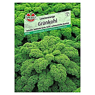 Sperli Gemüsesamen Grünkohl (Brassica oleracea, Erntezeit: Januar)