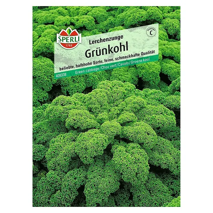 Sperli Gemüsesamen Grünkohl - Brassica oleracea, Erntezeit: Januar - Abbildung von Grünkohl-Samen der Sorte 'Lerchenzunge' von Sperli. Beliebte, halbhohe Sorte für schmackhafte Qualität.