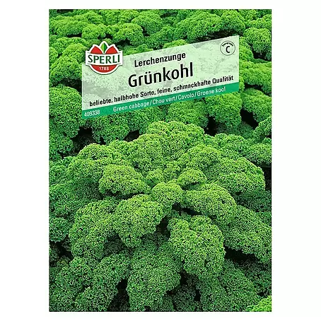 Sperli  Gemüsesamen Grünkohl