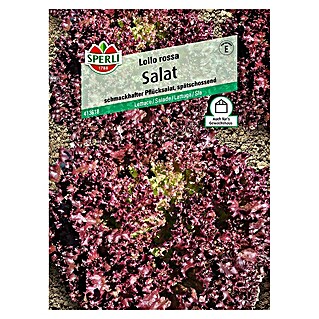 Sperli Salatsamen Pflücksalat (Lollo Rossa, Lactuca sativa, Erntezeit: Mai)