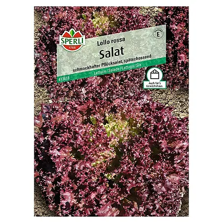 Sperli  Salatsamen Pflücksalat