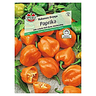 Sperli Gemüsesamen Paprika (Habanero, Capsicum baccatum, Erntezeit: August)