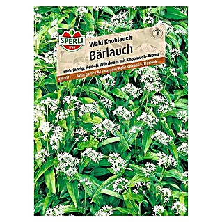 Sperli Gemüsesamen Bärlauch (Allium ursinum, Erntezeit: April - Mai)