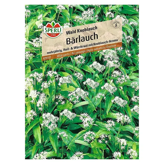 Sperli Gemüsesamen BärlauchAllium ursinum, Erntezeit: April - Samenpackung Bärlauch von Sperli 1788, mehrjährig, Heil- & Würzkraut mit Knoblauch-Aroma.