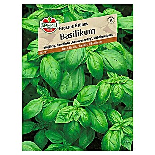 Sperli Kräutersamen Basilikum (Großes Grünes, Ocimum basilicum, Saatzeit: Mai, Erntezeit: Ganzjährig)