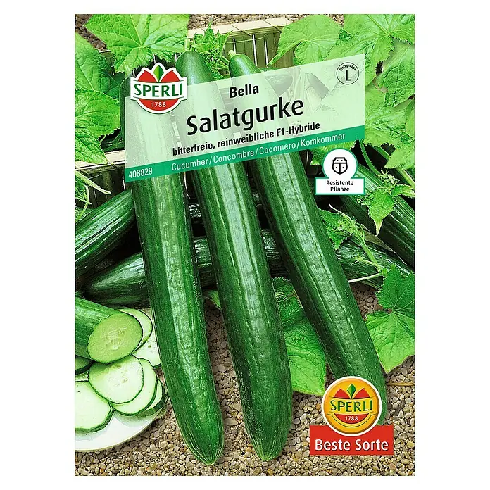 Sperli Gemüsesamen Salatgurke - Bella, Cucumis sativus, Erntezeit: Juni - Abbildung der Samenpackung "Bella Salatgurke", einer bitterfreien, reinweiblichen F1-Hybride, ideal für den Anbau von leckeren Salatgurken.