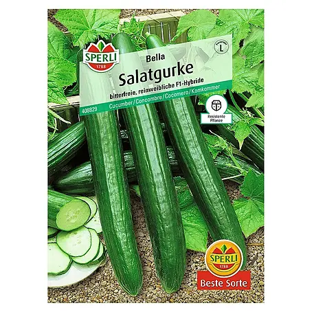 Sperli  Gemüsesamen Salatgurke