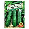 SALATGURKE SILOR F1