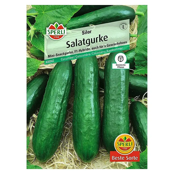 Sperli Gemüsesamen Salatgurke - Silor, Cucumis sativus, Erntezeit: Juni - Die Abbildung zeigt eine Saatguttüte für 'Silor Salatgurke', eine Mini-Snackgurke, die sich ideal für Gewächshäuser eignet und eine resistente Pflanze ist.