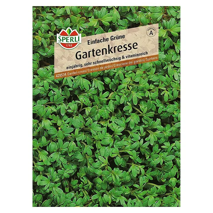 Sperli Kräutersamen Gartenkresse - Einfache Grüne, Lepidium sativum, Saatzeit: April, Erntezeit: Ganzjährig - Bild einer Samenpackung für "Einfache Grüne Gartenkresse" von Sperli, einjährig, schnellwüchsig und vitaminreich.