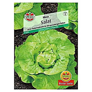 Sperli Salatsamen Kopfsalat (Mona, Lactuca sativa, Erntezeit: Juni)