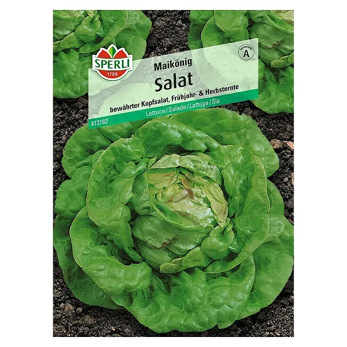 Sperli Salatsamen Kopfsalat - Maikönig, Lactuca sativa, Erntezeit: Mai - Abbildung einer Samenpackung "Maikönig Salat" von Sperli, die einen Kopf Salat zeigt.