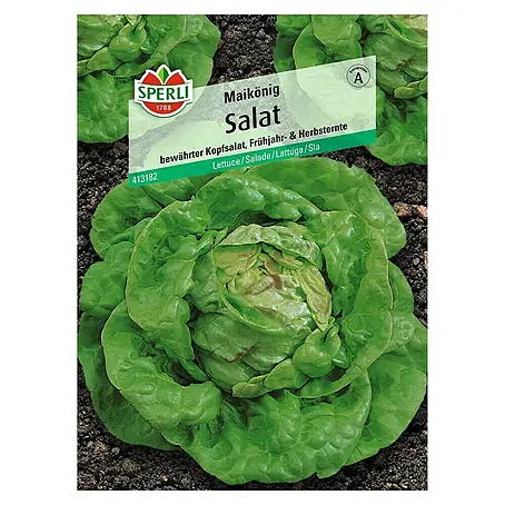 Sperli  Salatsamen Kopfsalat