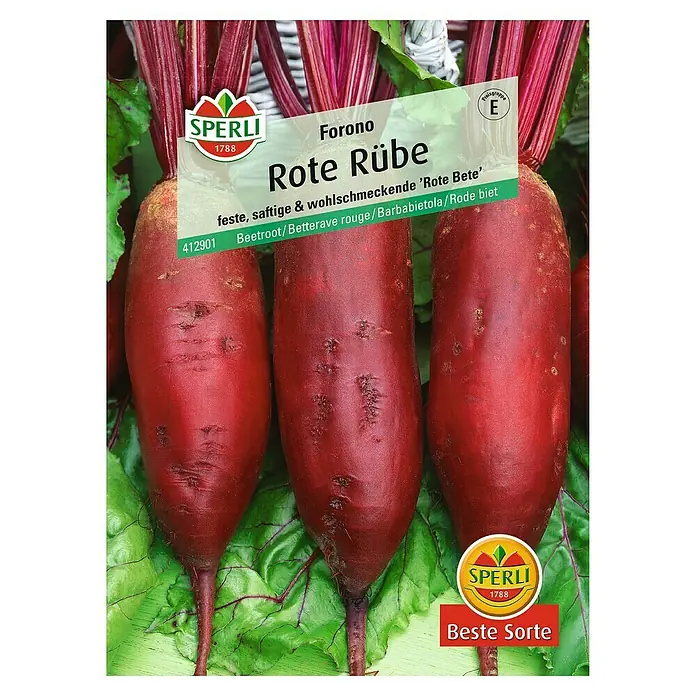 Sperli Gemüsesamen Rote Rübe - Forono, Beta vulgaris, Erntezeit: August - SPERLI Rote Rübe 'Forono': Eine schmackhafte, feste und saftige Rote Bete-Sorte. Ideal für vielfältige Gerichte.