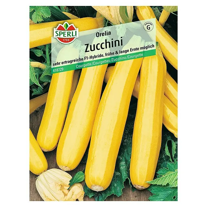 Sperli Gemüsesamen Zucchini - Orelia, Cucurbita pepo, Erntezeit: Juli - Gelbe Zucchini "Orelia" von Sperli, eine ertragreiche F1-Hybride für frühe und lange Ernten, ideal für jeden Garten.