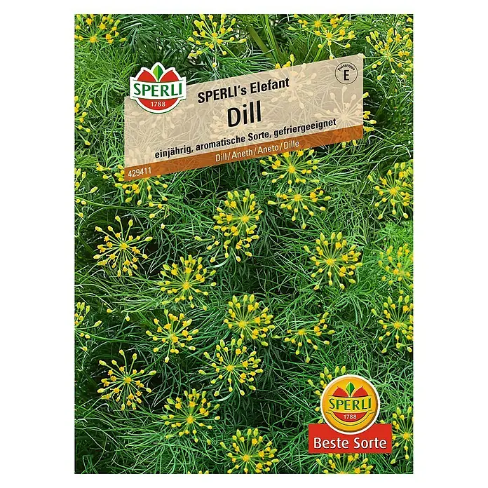 Sperli Kräutersamen Dill - Sperli's Elefant, Anethum graveolens var. hortorum, Saatzeit: April, Erntezeit: April - Dill 'Elefant' Samenpackung von Sperli. Einjährig, aromatisch und gefriergeeignet für die Küche.