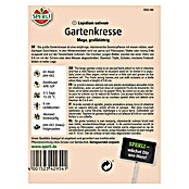 GARTENKRESSE        MEGA GROSSBLAETTRIG