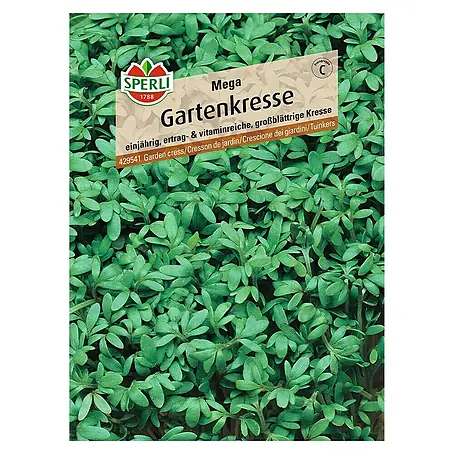 Sperli  Kräutersamen Gartenkresse