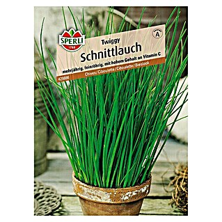 Sperli Kräutersamen Schnittlauch (Twiggy, Allium schoenoprasum, Saatzeit: April, Erntezeit: Ganzjährig)