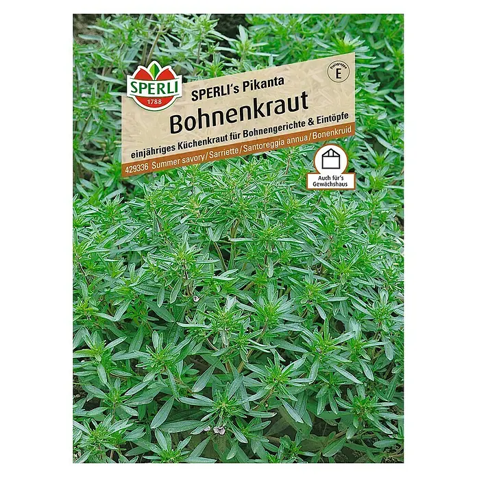 Sperli Kräutersamen Bohnenkraut Sperli's Pikanta - Satureja hortensis, Saatzeit: April, Erntezeit: Juni - Sperli's Pikanta Bohnenkraut, einjähriges Küchenkraut für Bohnengerichte & Eintöpfe, auch für Gewächshäuser geeignet.