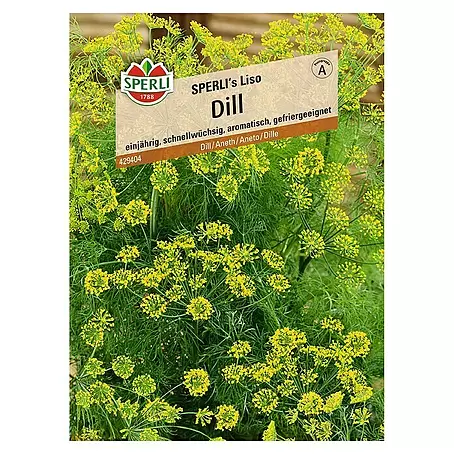 Sperli  Kräutersamen Dill