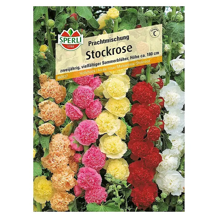 Sperli Blumensamen Stockrose - Alcea rosea, Blütezeit: Juli - Samenpackung für Stockrosen-Prachtmischung. Zweijährige Sommerblüher mit einer Höhe von ca. 180 cm, die eine vielfältige Farbpalette bieten.