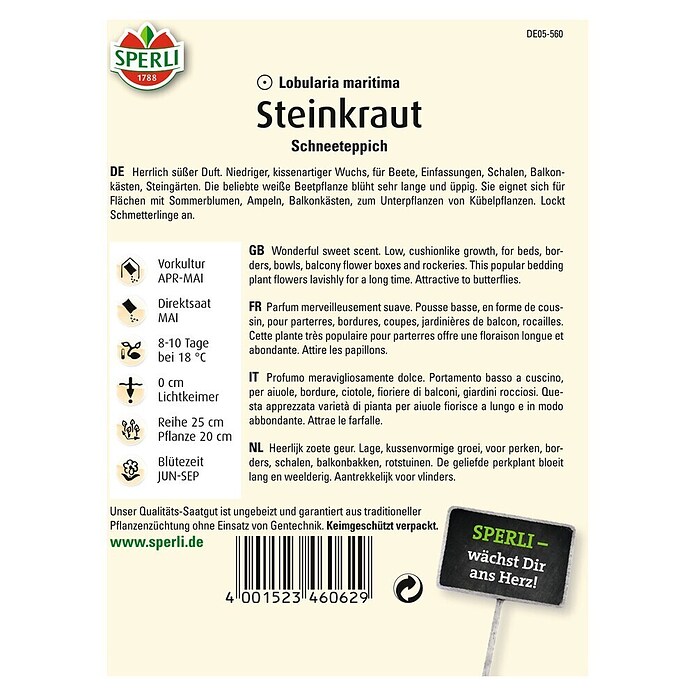 STEINKRAUT SPERLI´SSCHNEETEPPICH