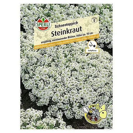 Sperli  Blumensamen Steinkraut