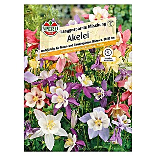 Sperli Blumensamen Akelei (Aquilegia vulgaris, Blütezeit: Mai)