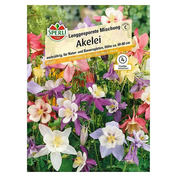 Sperli Blumensamen Akelei - Aquilegia vulgaris, Blütezeit: Mai - Akelei 'Langgespornte Mischung' von Sperli: Mehrjährige, farbenfrohe Blumenmischung für Natur- und Bauerngärten mit einer Höhe von ca. 60-80 cm.