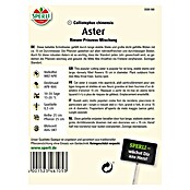 ASTER RIESEN        PRINZESS MISCHUNG