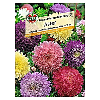 Sperli Blumensamen Aster (Riesen-Prinzess-Mischung, Callistephus chinensis, Blütezeit: August)